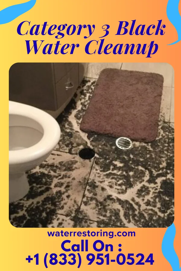 Category 3 Black Water Cleanup in Otisville, NY