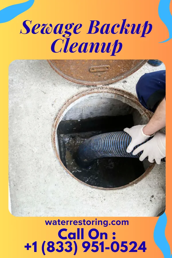 Sewage Backup Cleanup in Otisville, NY